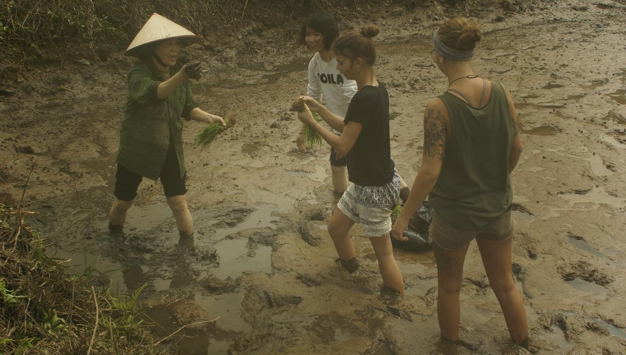 Mai's homestay Trang An Ninh Bình Ngoại thất bức ảnh