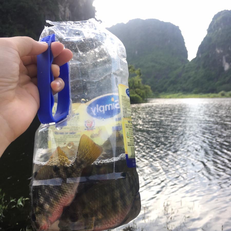 Mai's homestay Trang An Ninh Bình Ngoại thất bức ảnh