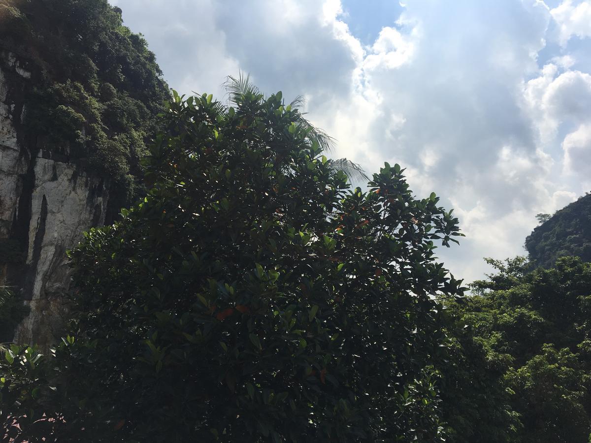 Mai's homestay Trang An Ninh Bình Ngoại thất bức ảnh